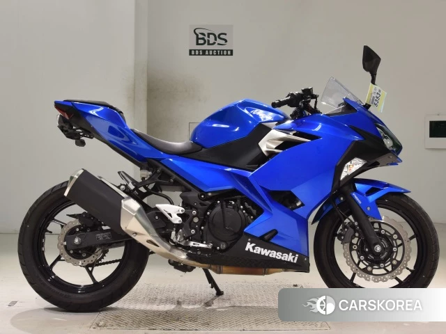Проданный Kawasaki NINJA 250 2018 из Японии