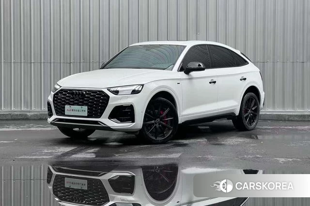 Audi Q5L Sportback id 4486516 из Китая 16