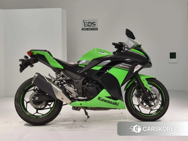Проданный Kawasaki NINJA 250 2013 из Японии