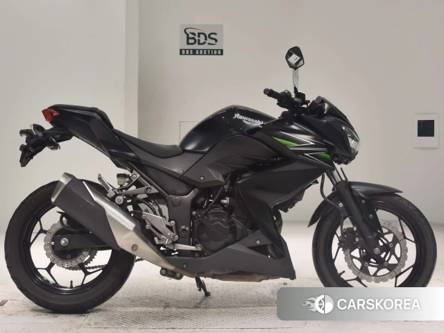 Проданный Kawasaki Z250 2014 из Японии