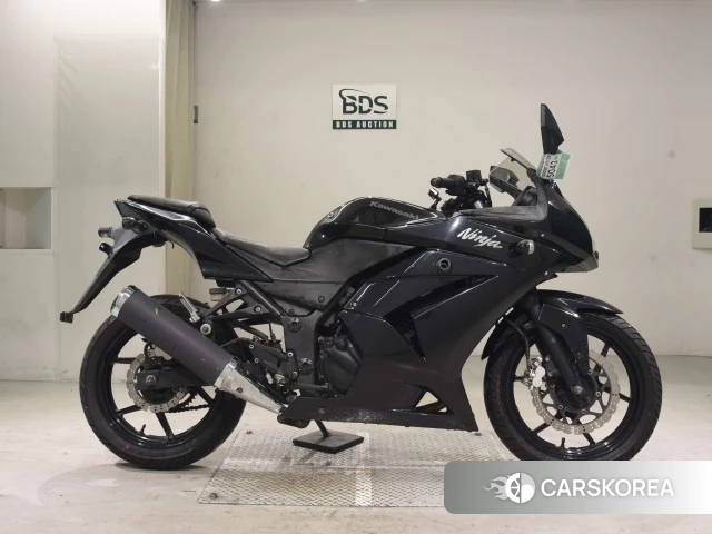 Проданный Kawasaki NINJA 250R id 4166656 из Японии