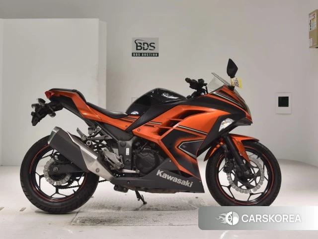 Проданный Kawasaki NINJA 250 2014 из Японии