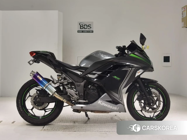 Проданный Kawasaki NINJA 250 ABS 2015 из Японии
