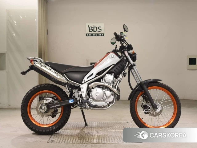 Проданный Yamaha TRICKER 250 2015 из Японии
