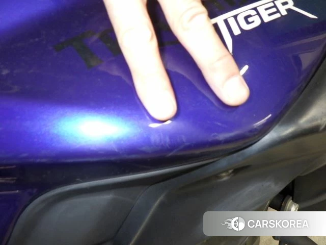 Triumph TIGER 800 id 3946659 из Японии 17