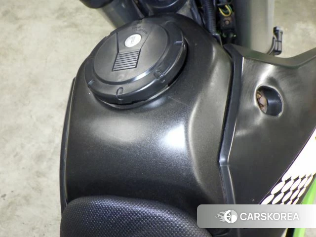Kawasaki KLX250 id 4229636 из Японии 17
