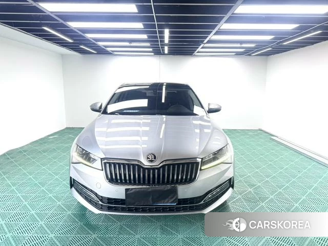 Skoda Speed pie id 4392048 из Китая 17