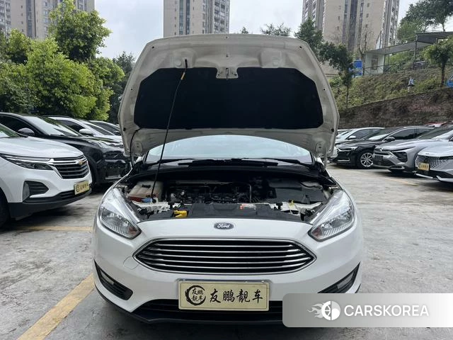 Ford Fox id 4213516 из Китая 18