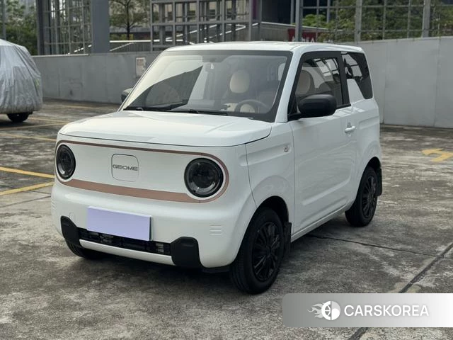 Geely Galaxy panda id 4220987 из Китая 18