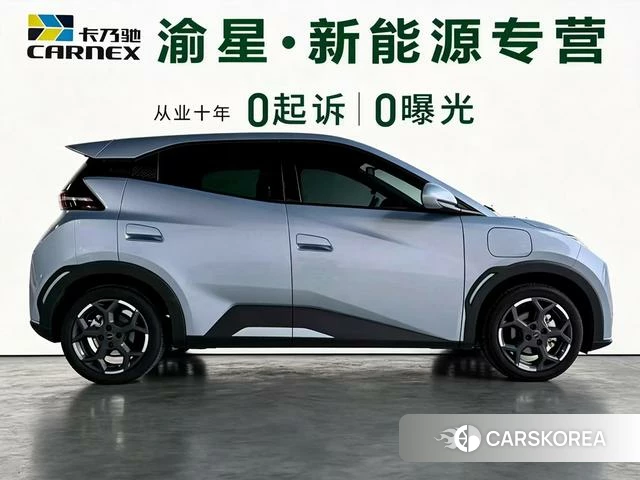 BYD Seagull id 3919534 из Китая 18