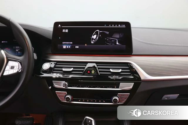 BMW 5 series PHEV id 4210196 из Китая 18