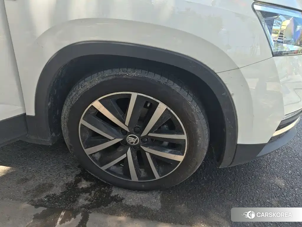 Skoda Kamiq id 4680552 из Китая 18