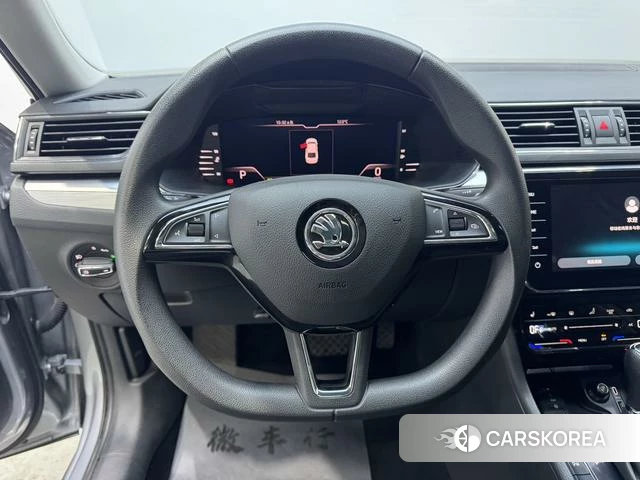 Skoda Speed pie id 4239098 из Китая 18