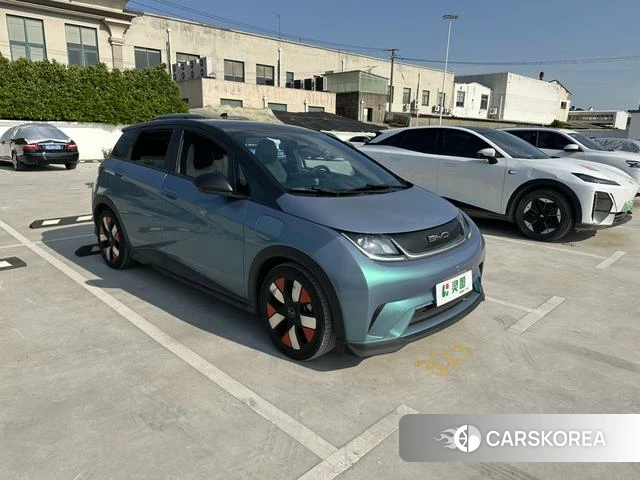 BYD dolphin id 4240196 из Китая 18
