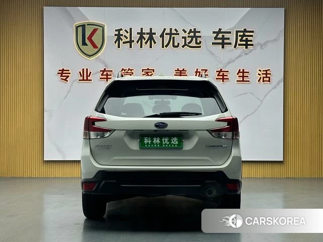 Subaru FORESTER Forester id 4208555 из Китая 18