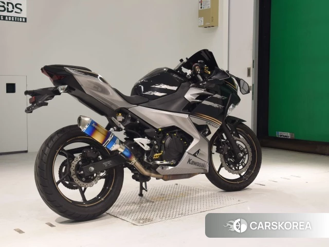 Проданный Kawasaki NINJA 250 2018 из Японии