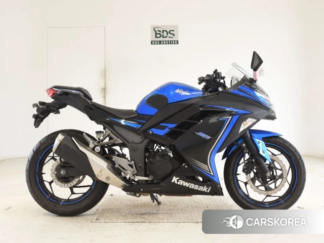 Kawasaki NINJA 250 id 3947496 из Японии 17