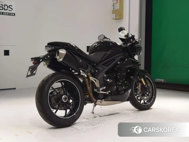 Проданный Triumph SPEED TRIPLE R 2016 из Японии