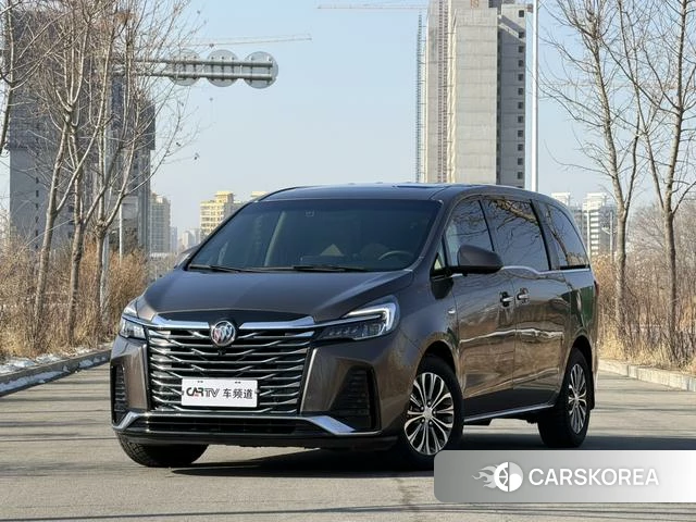 Buick GL8 id 4207952 из Китая 18