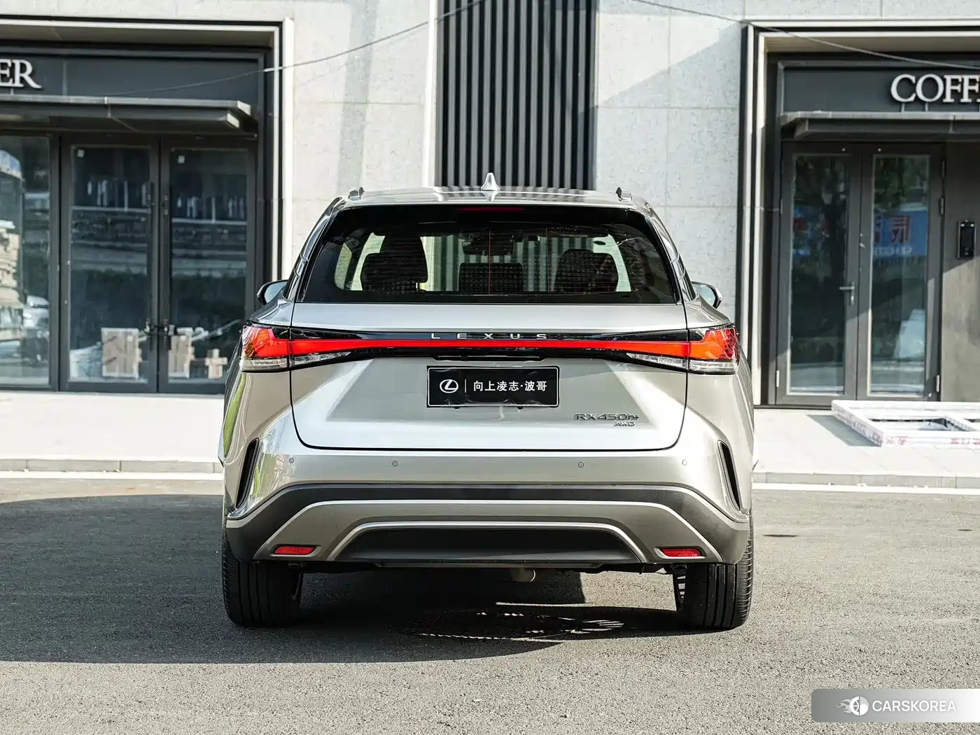 Lexus RX id 4600607 из Китая 18