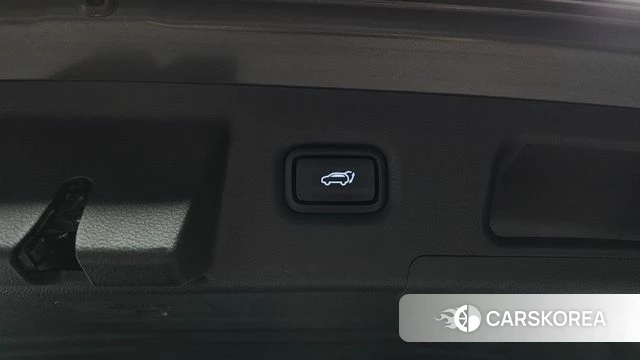 Hyundai Santa Fe TM id 4197100 из Кореи 18