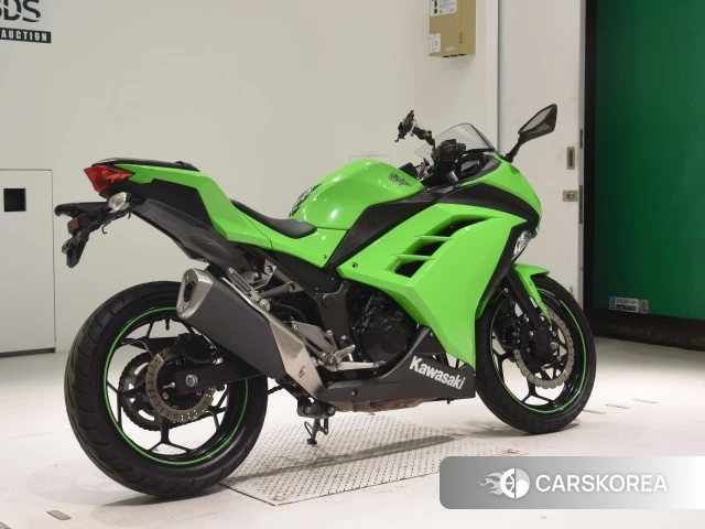 Проданный Kawasaki NINJA 250 2015 из Японии