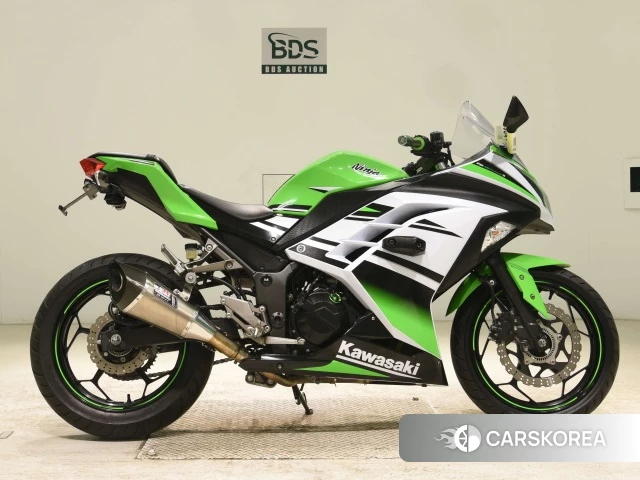Проданный Kawasaki NINJA 250 ABS id 3946938 из Японии, фото 17