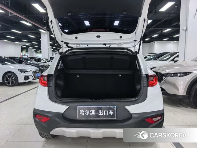 Kia Yi Ran id 4291416 из Китая 18
