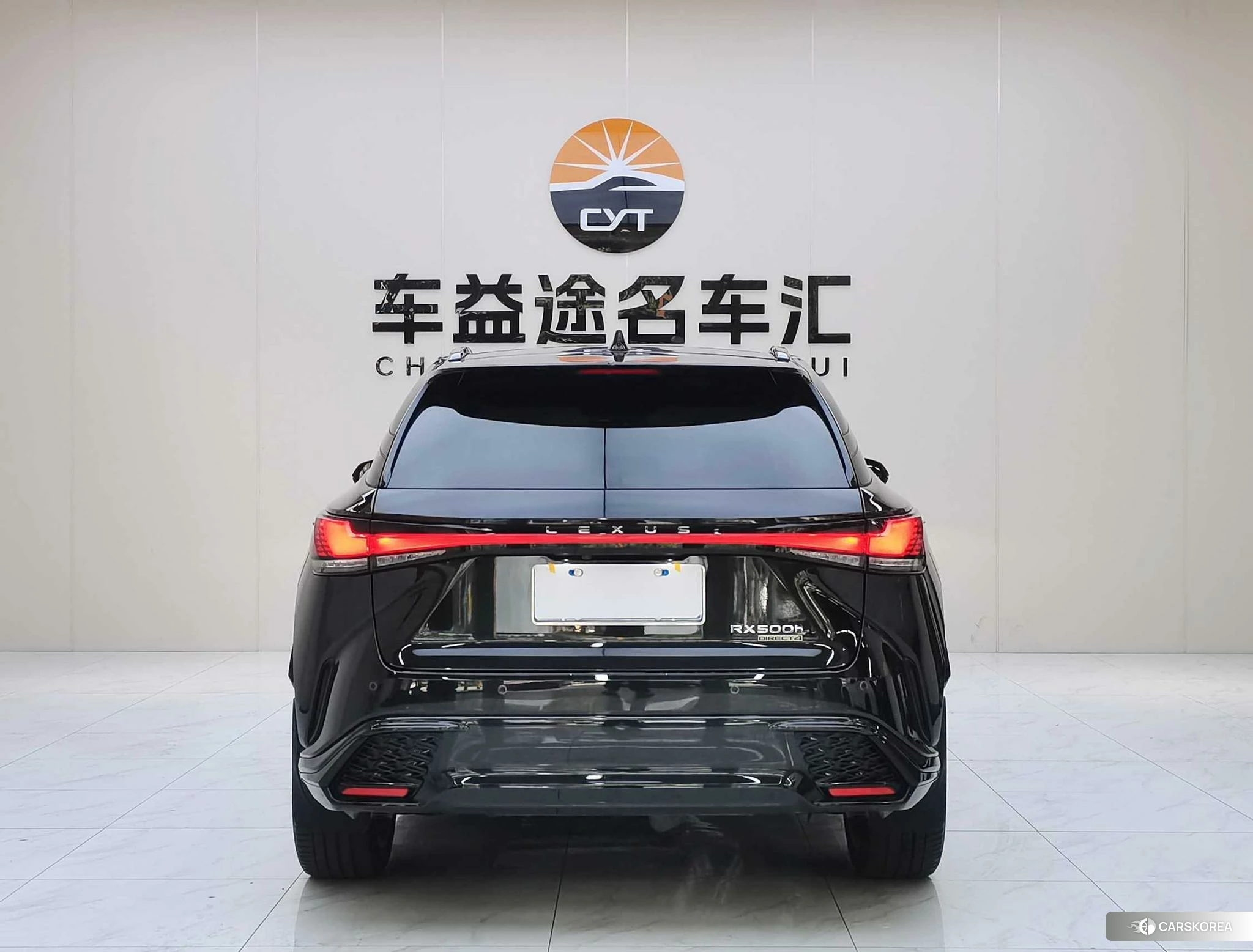 Lexus RX id 4473878 из Китая 18