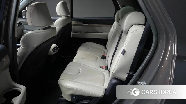 Hyundai Palisade id 4751100 из Кореи 18