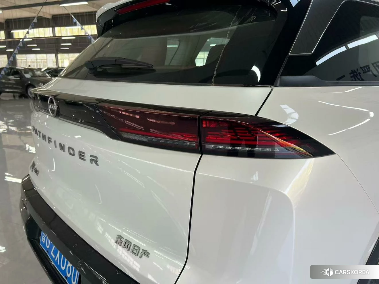 Nissan Exploring the land id 4513821 из Китая 18