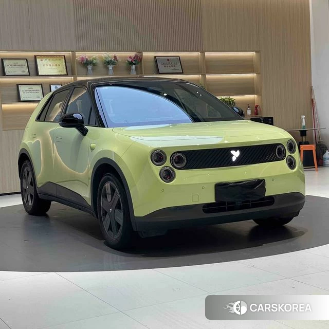 firefly firefly Unknown id 3993585 из Китая 18