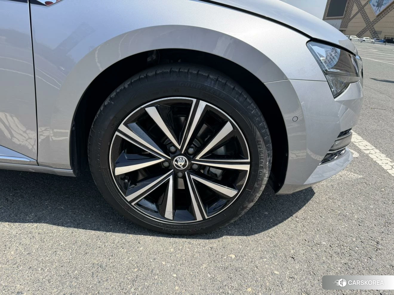 Skoda Speed pie id 4452207 из Китая 18