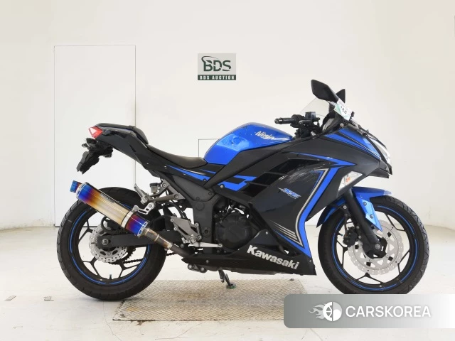 Kawasaki NINJA 250 id 3947218 из Японии 17