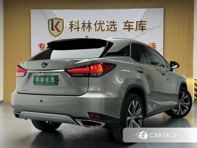Lexus RX id 4298007 из Китая 18