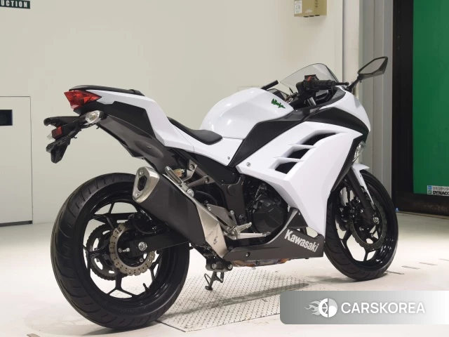 Проданный Kawasaki NINJA 250 2015 из Японии