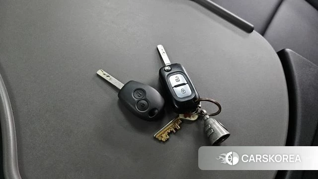 Renault Korea (Samsung) Master id 4871897 из Кореи 18