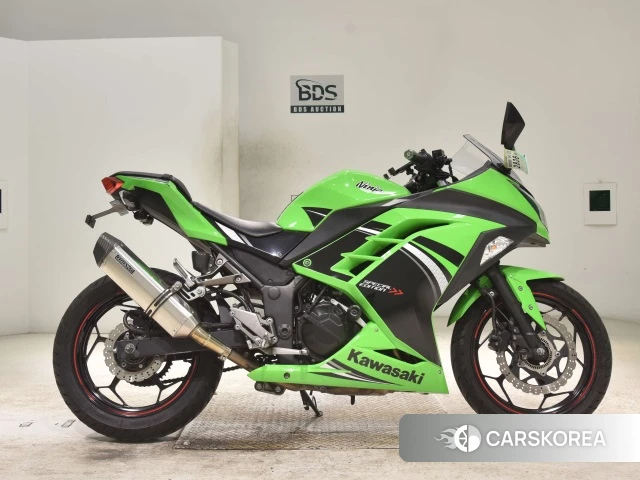Kawasaki NINJA 250 ABS SE id 3946856 из Японии 17