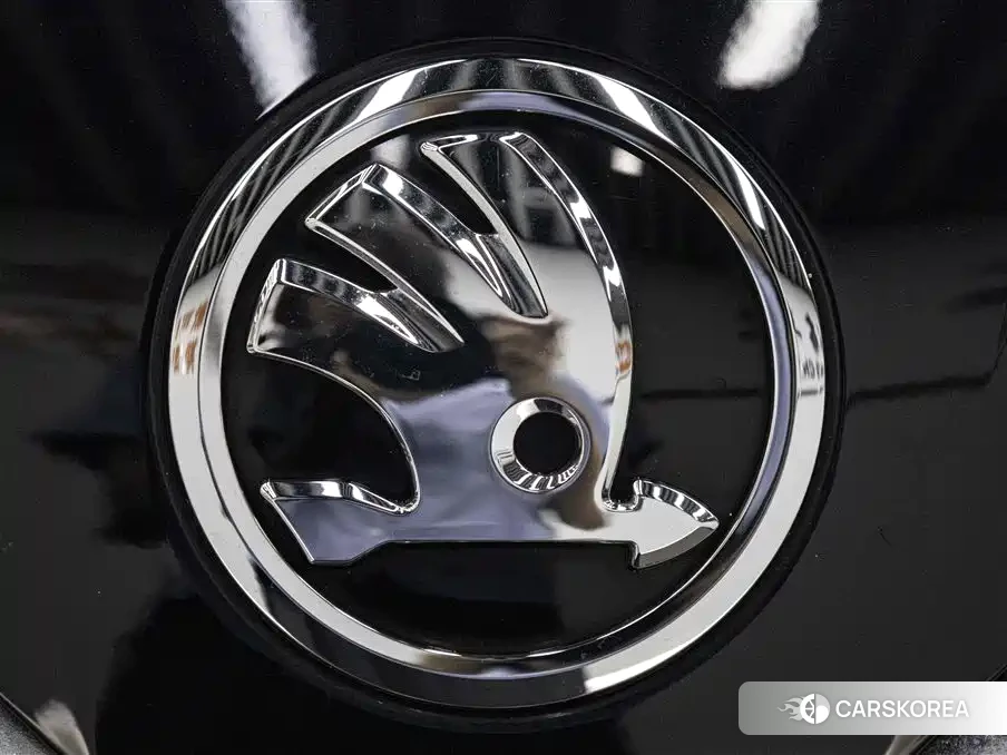 Skoda Speed pie id 4559648 из Китая 18