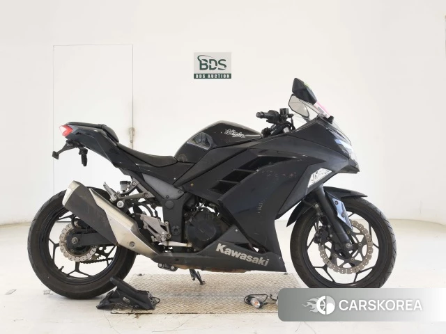 Kawasaki NINJA 250 id 3947323 из Японии 17