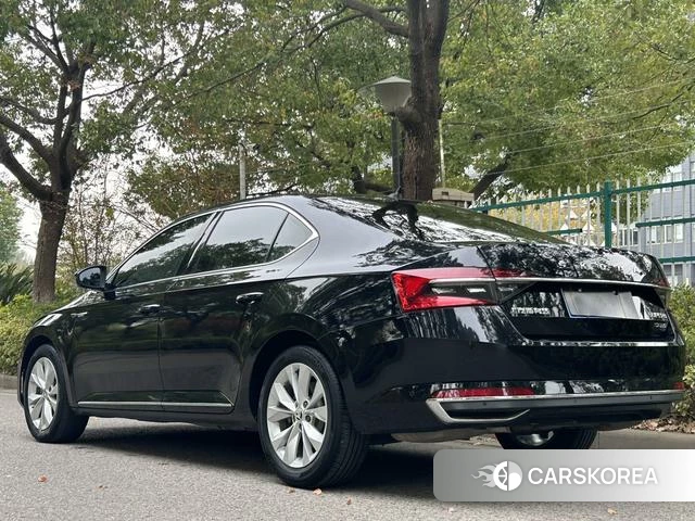 Skoda Speed pie id 4221421 из Китая 18