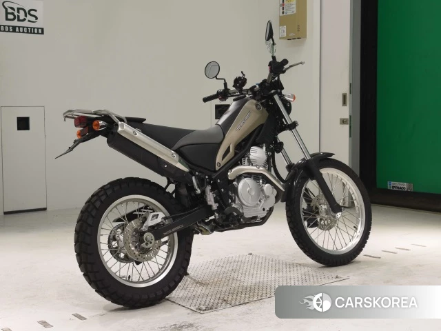 Проданный Yamaha TRICKER 250 2019 из Японии