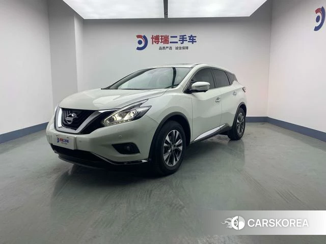 Nissan Loulan id 4258907 из Китая 18