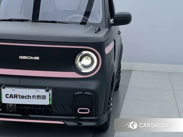 Geely Galaxy panda id 3907942 из Китая 18