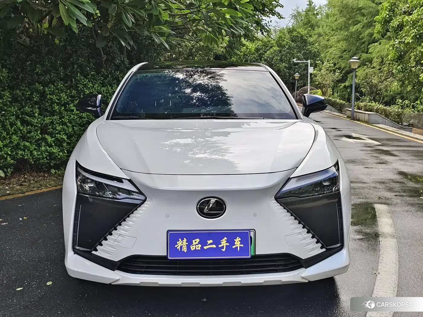 Lexus RZ id 4539170 из Китая 18