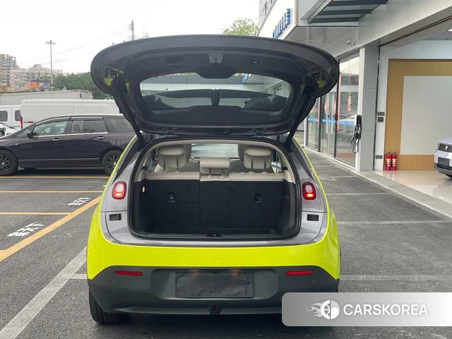 firefly firefly Unknown id 4182703 из Китая 18