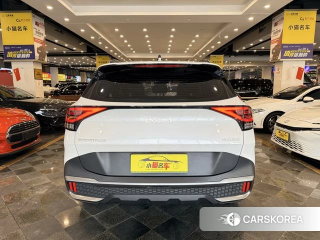 Kia Lion Platinum expands the world id 4297723 из Китая 18