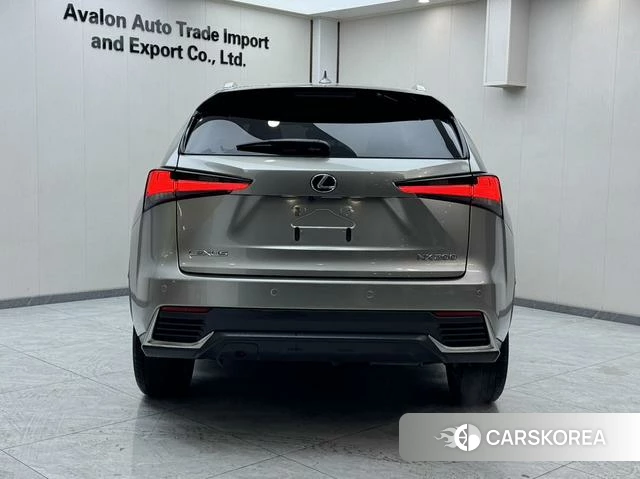 Lexus NX id 4274165 из Китая 18