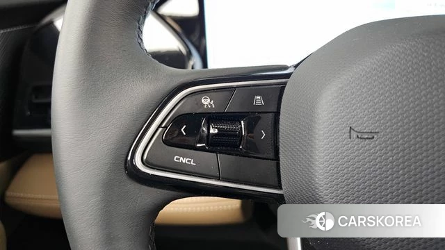 Renault Korea (Samsung) Grand Coleos id 4639909 из Кореи 18