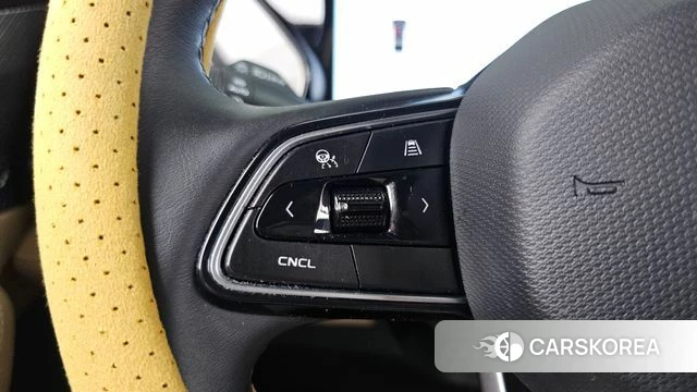 Renault Korea (Samsung) Grand Coleos id 4617716 из Кореи 18